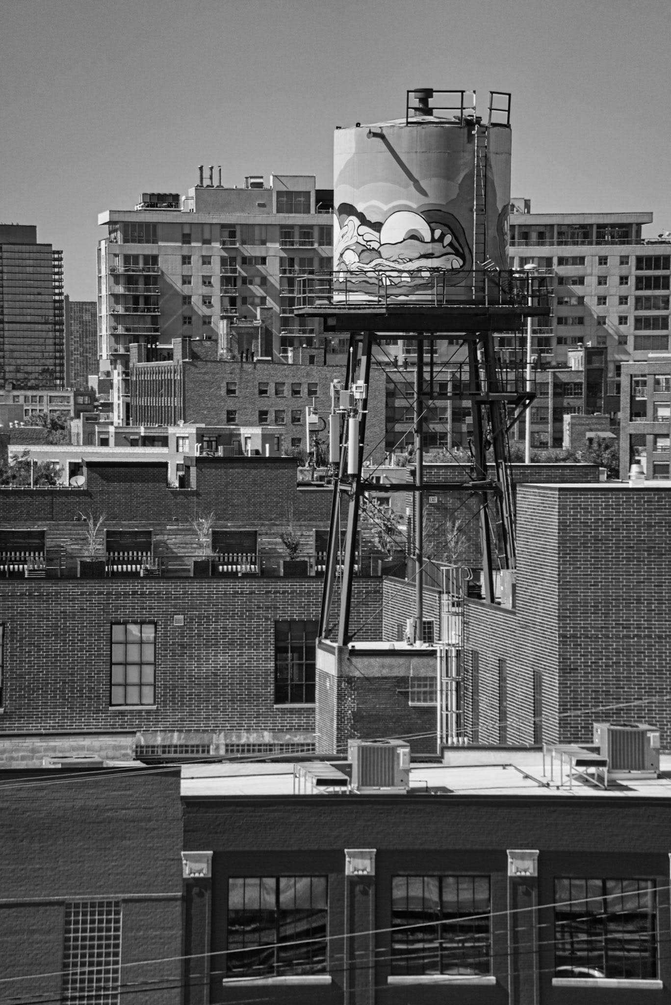 Black &amp; White 00270