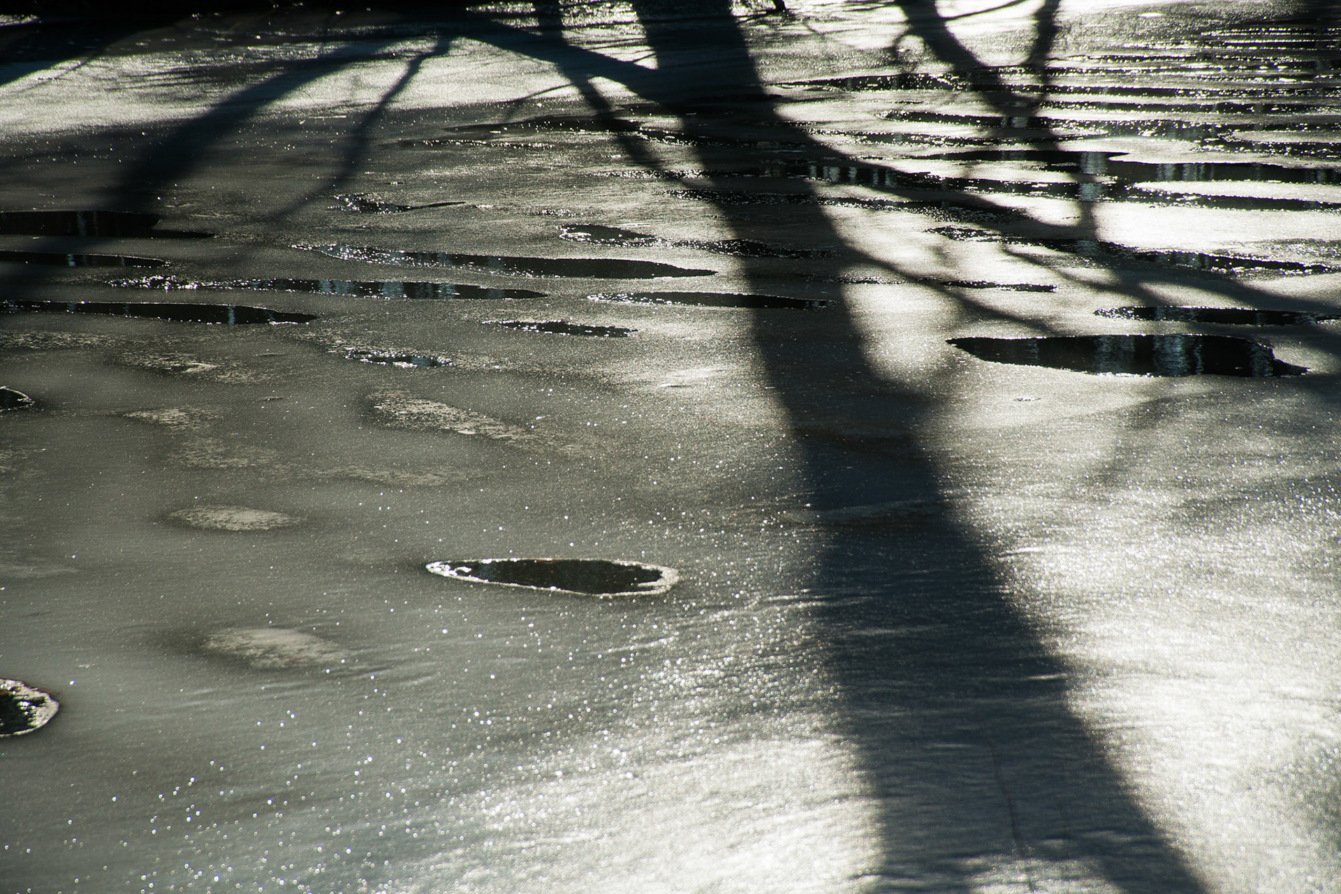 Black &amp; White Photos