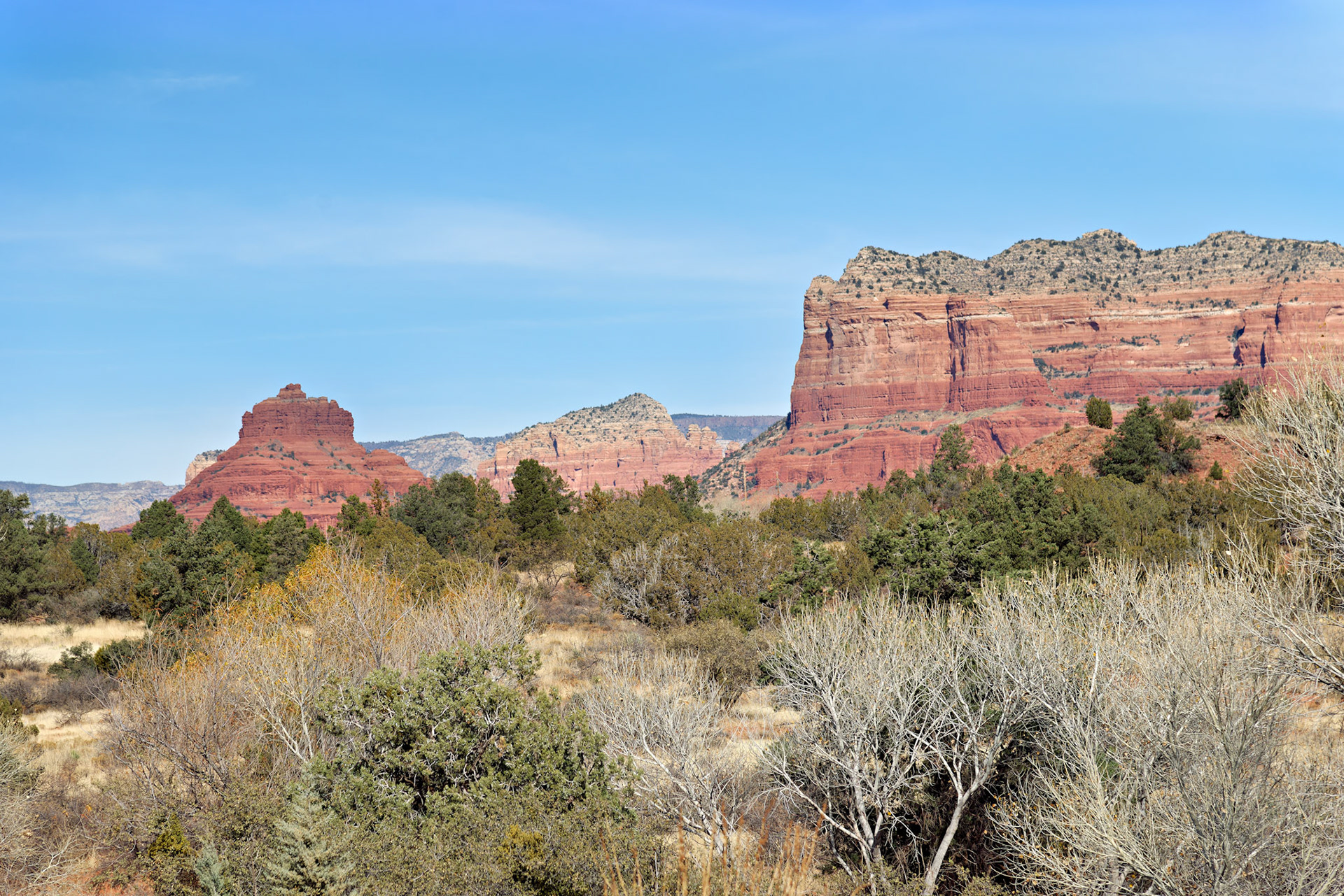 AZ_20121211_0581_PS.dng