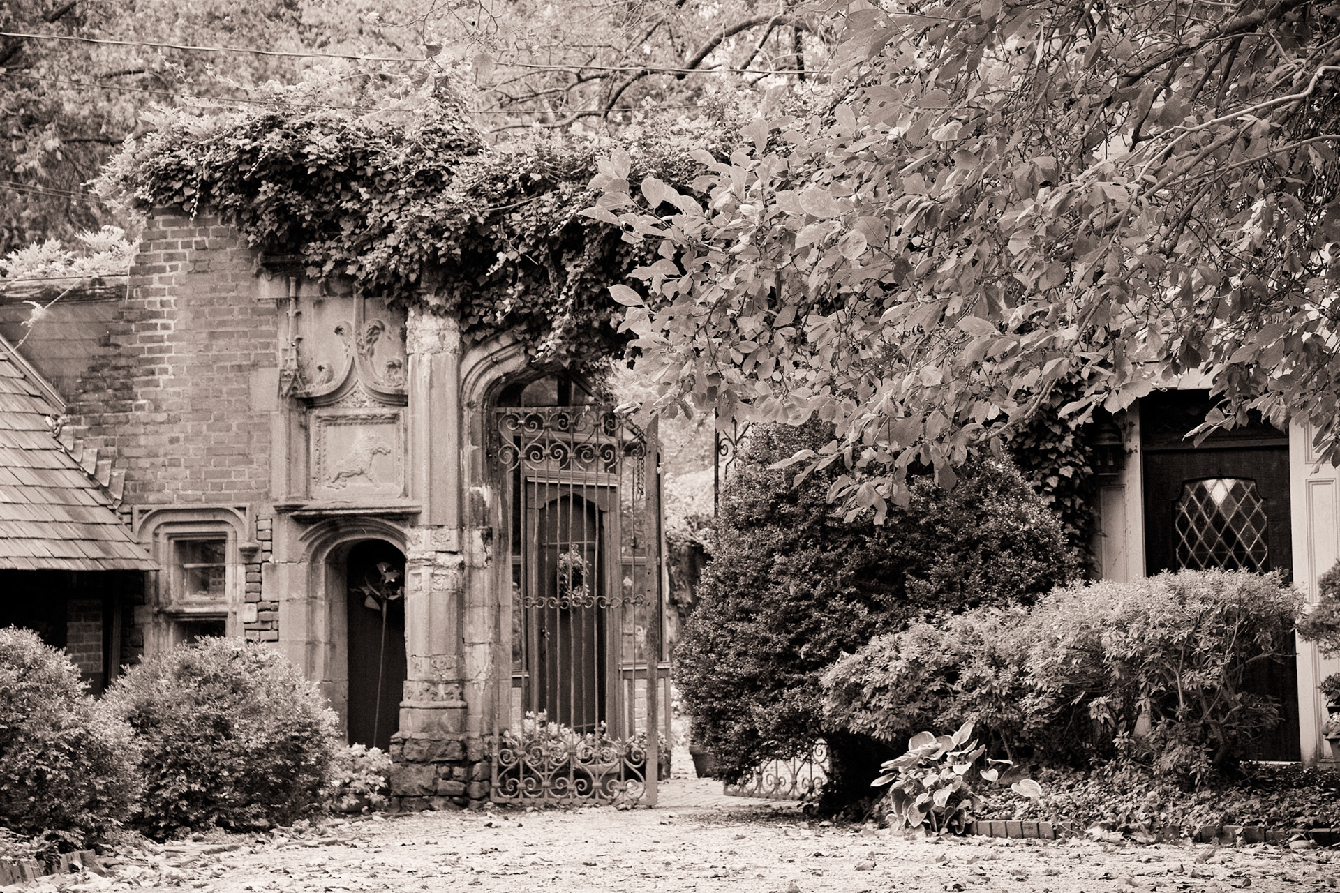 Black &amp; White 00126