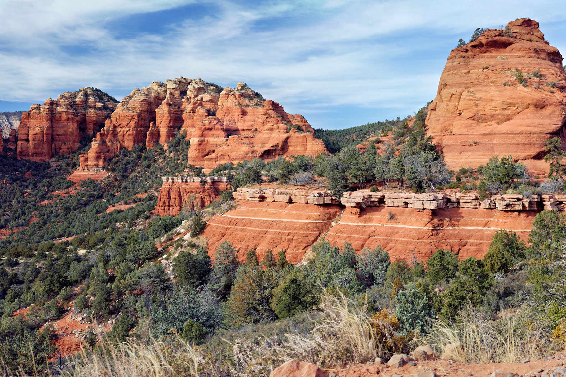 AZ_20121211_0524_PS.dng