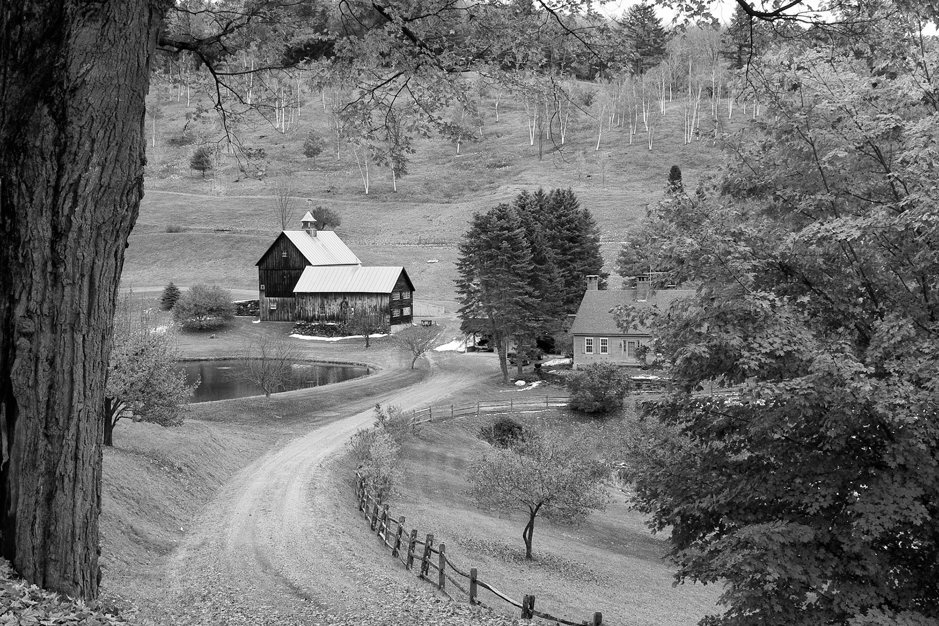 Black &amp; White 00052