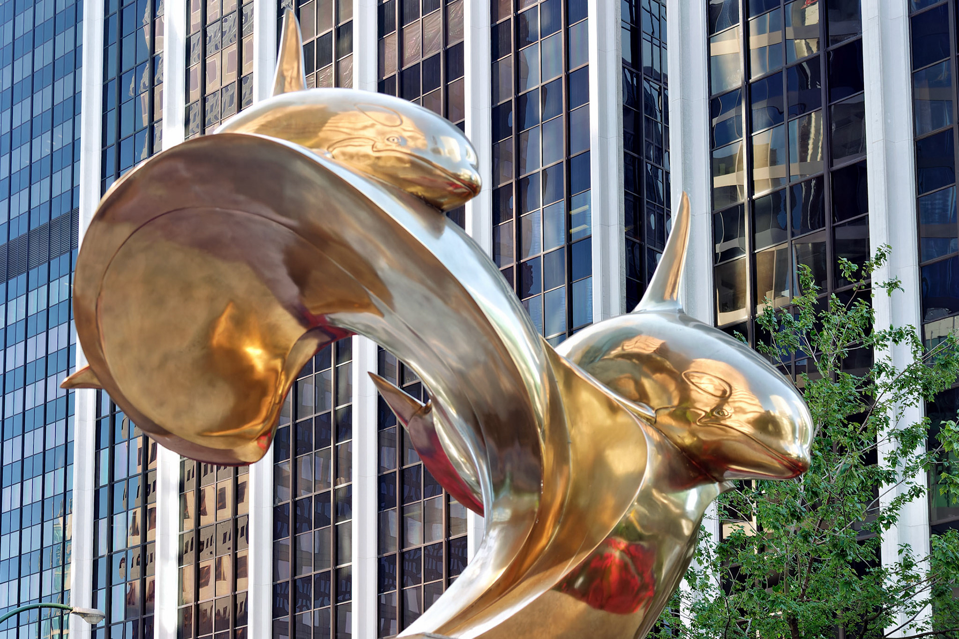 AK_20030727_0023_PS.dng