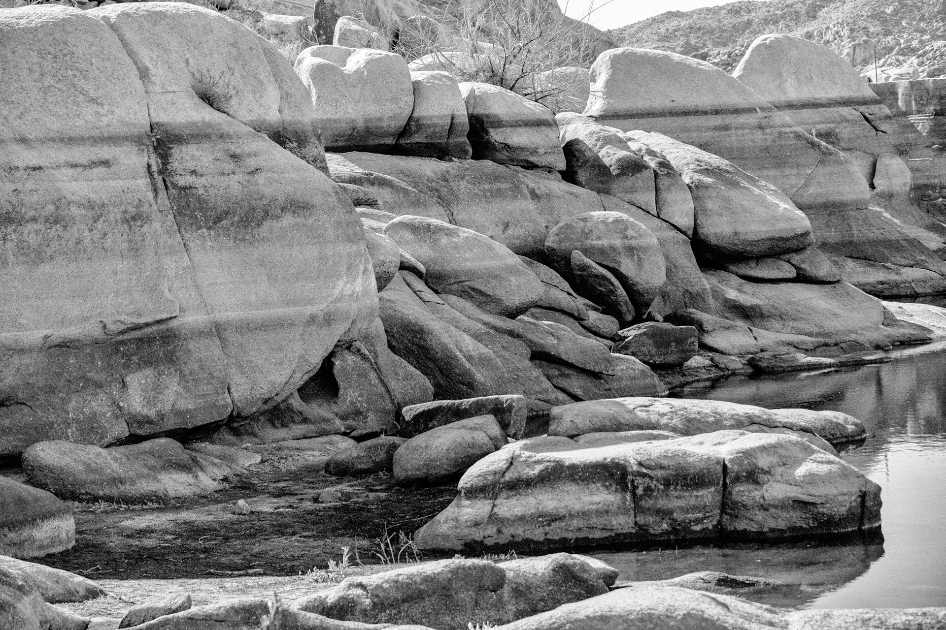 Black &amp; White 00104