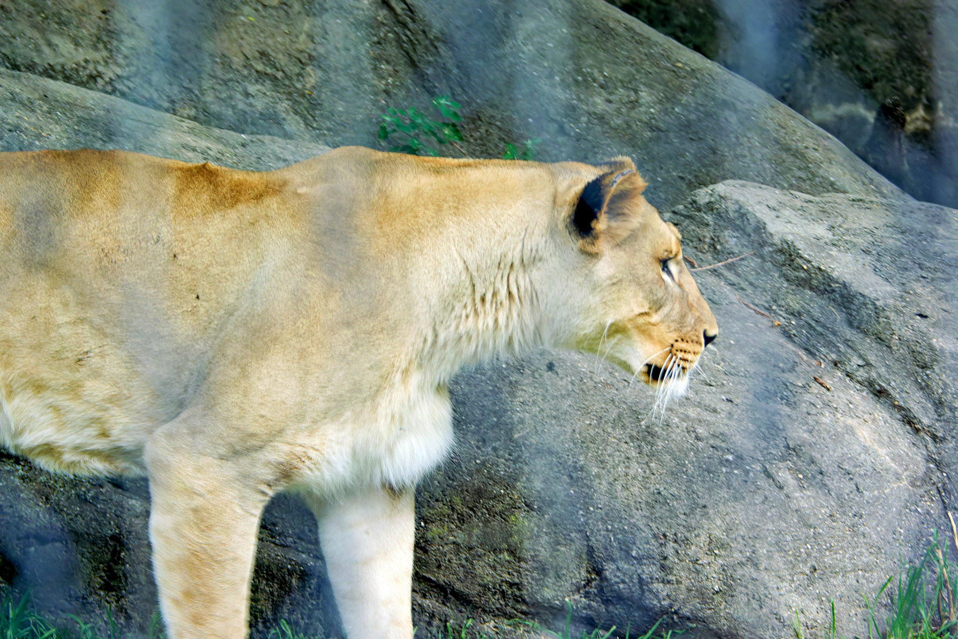 Wildlife_20140718_0467_PS.dng