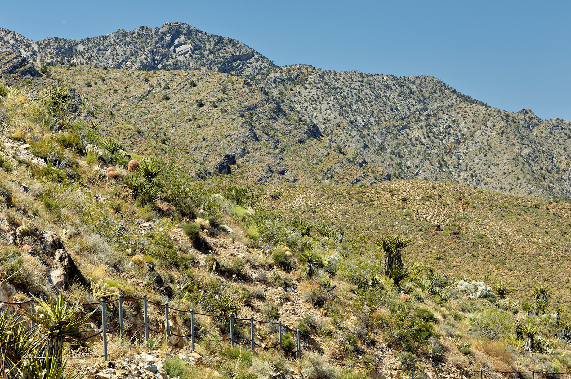 CA_20050614_0149_PS.dng