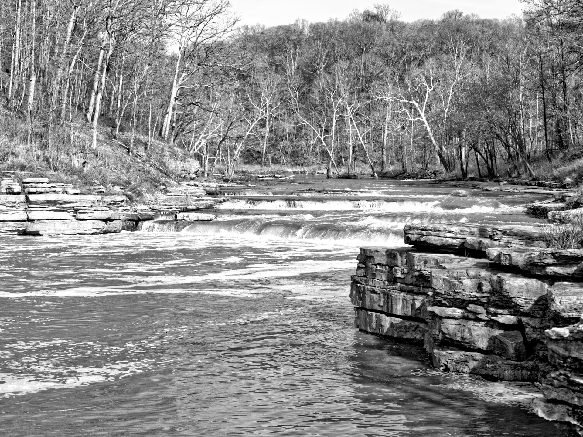 Black &amp; White 00015