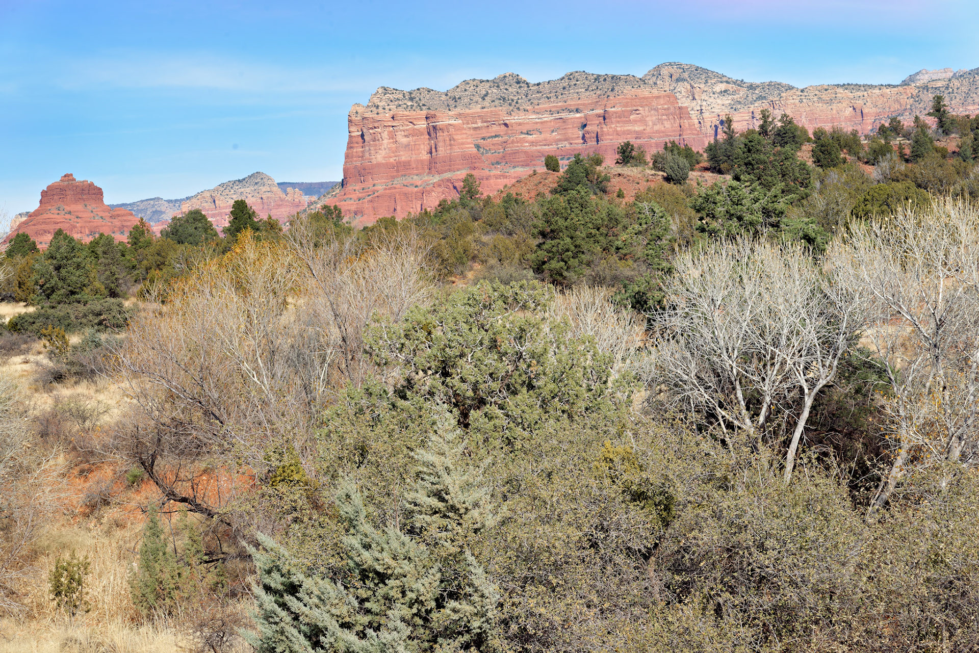 AZ_20121211_0583_PS.dng