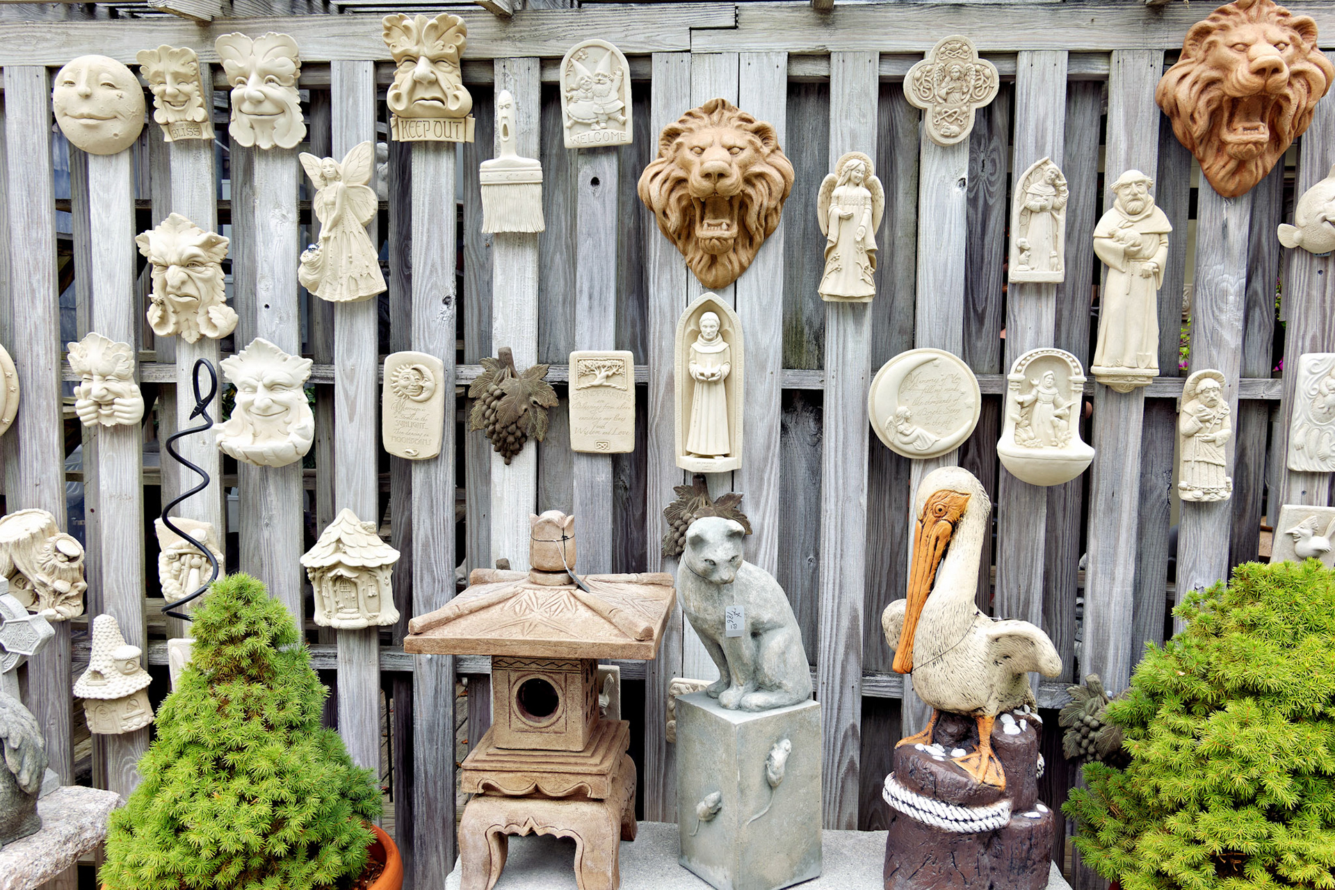 MA_CapeCod_20180722_0365_PS.dng