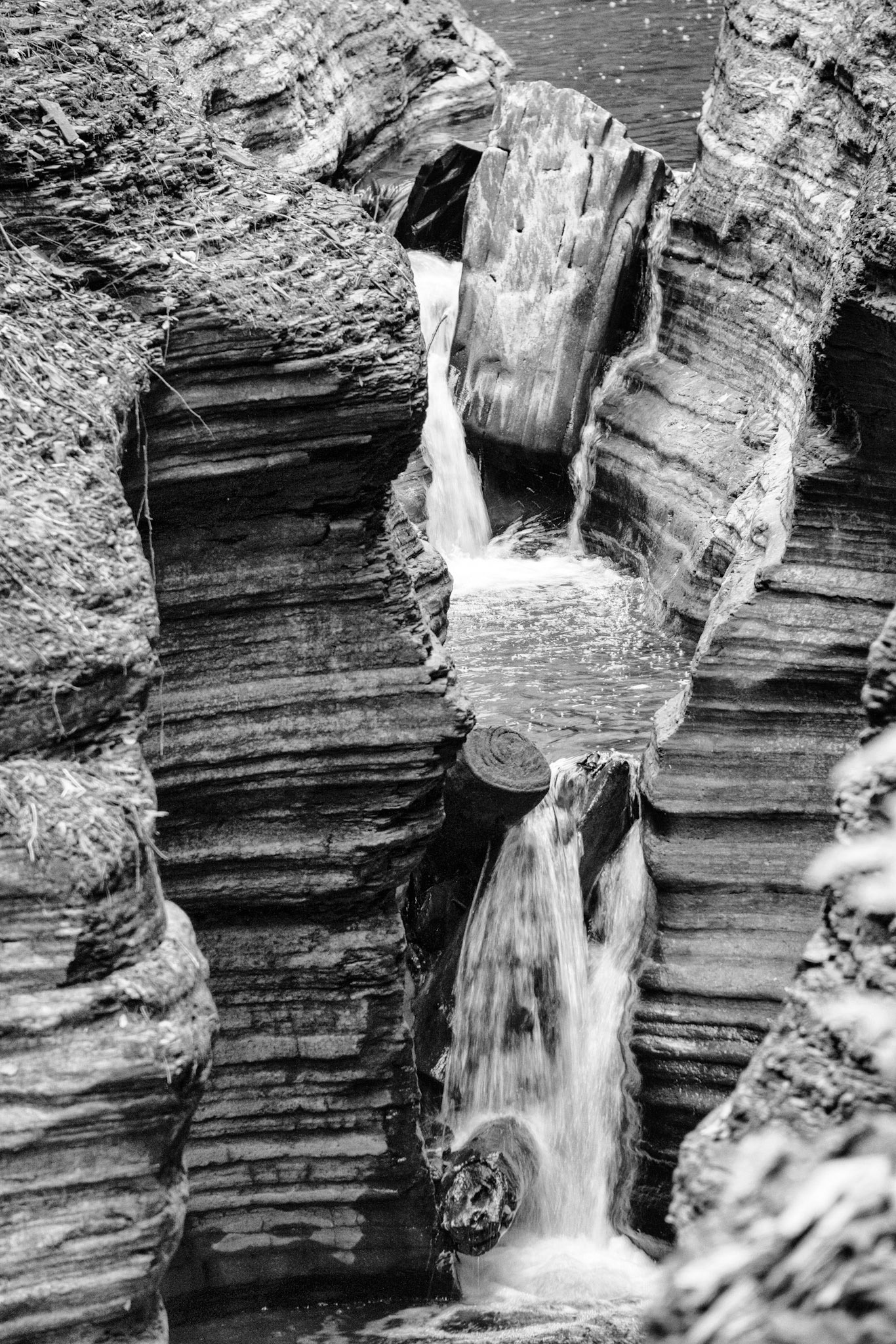 Black &amp; White 00219