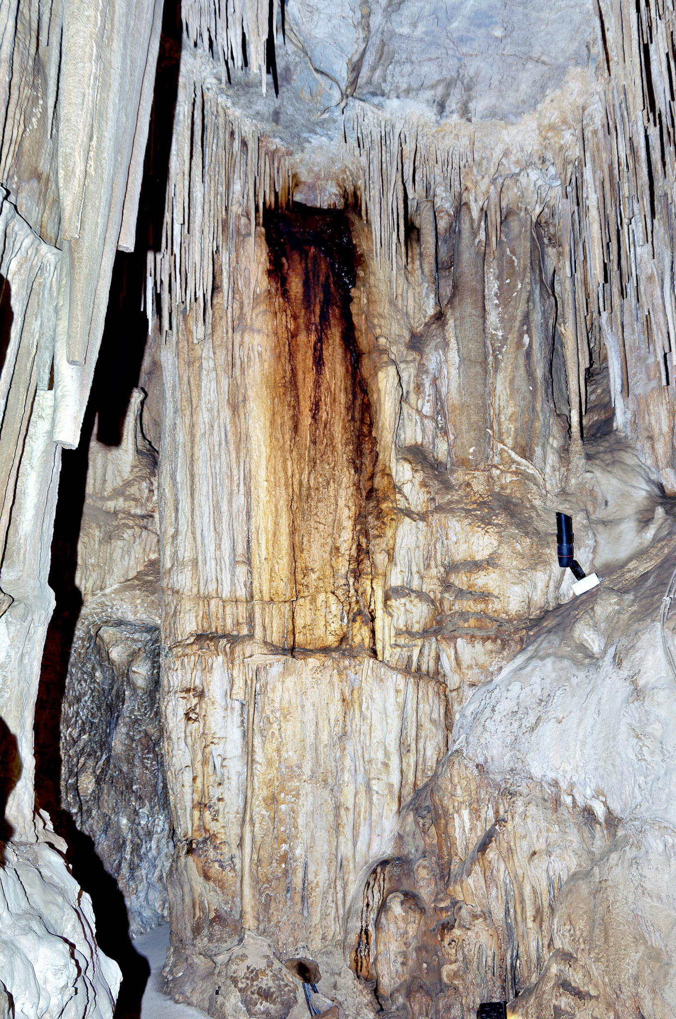 CA_20050614_0109_PS.dng