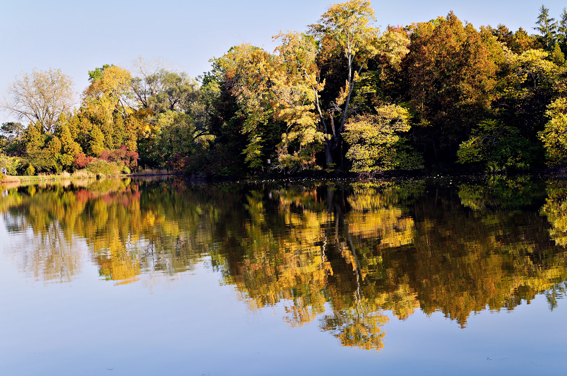 IL_Morton Arboretum_20081011_0325_PS.tif