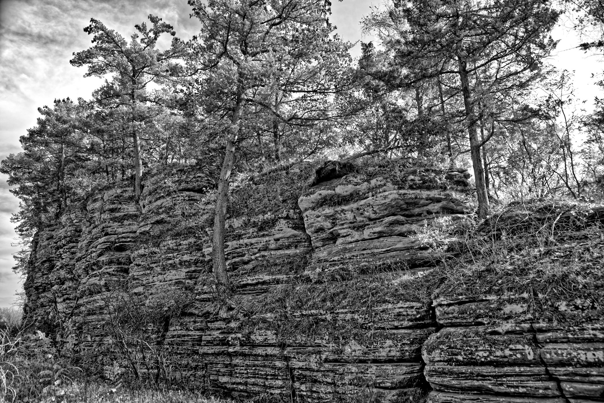 Black &amp; White 00235