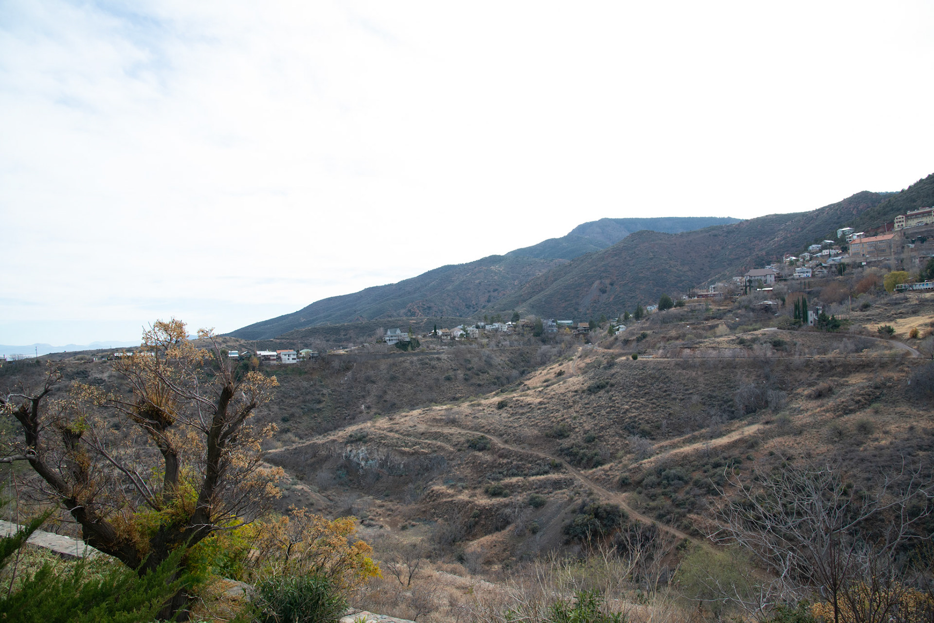20121212_a855.NEF