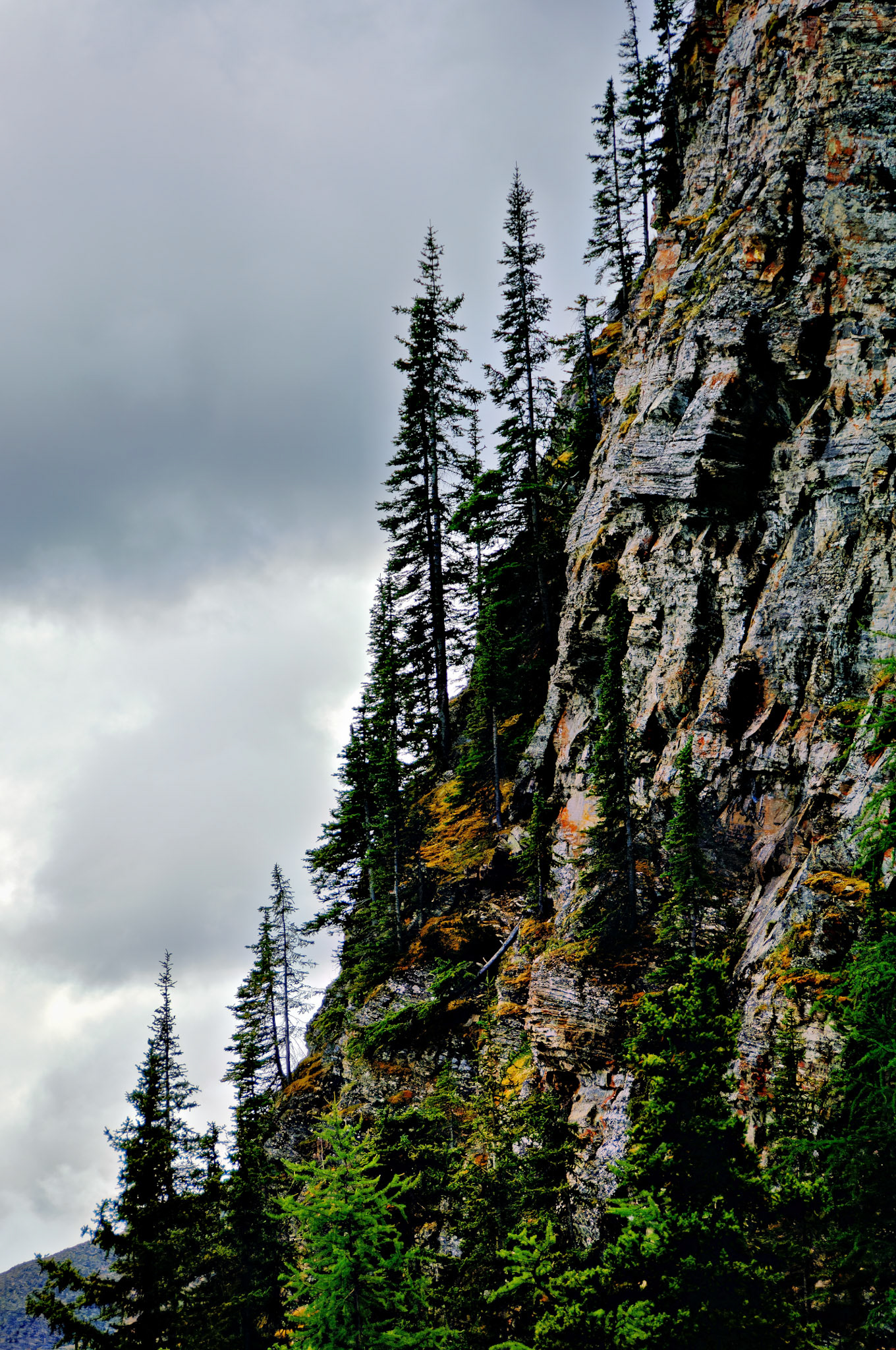 CN_20060801_0494_PS.dng