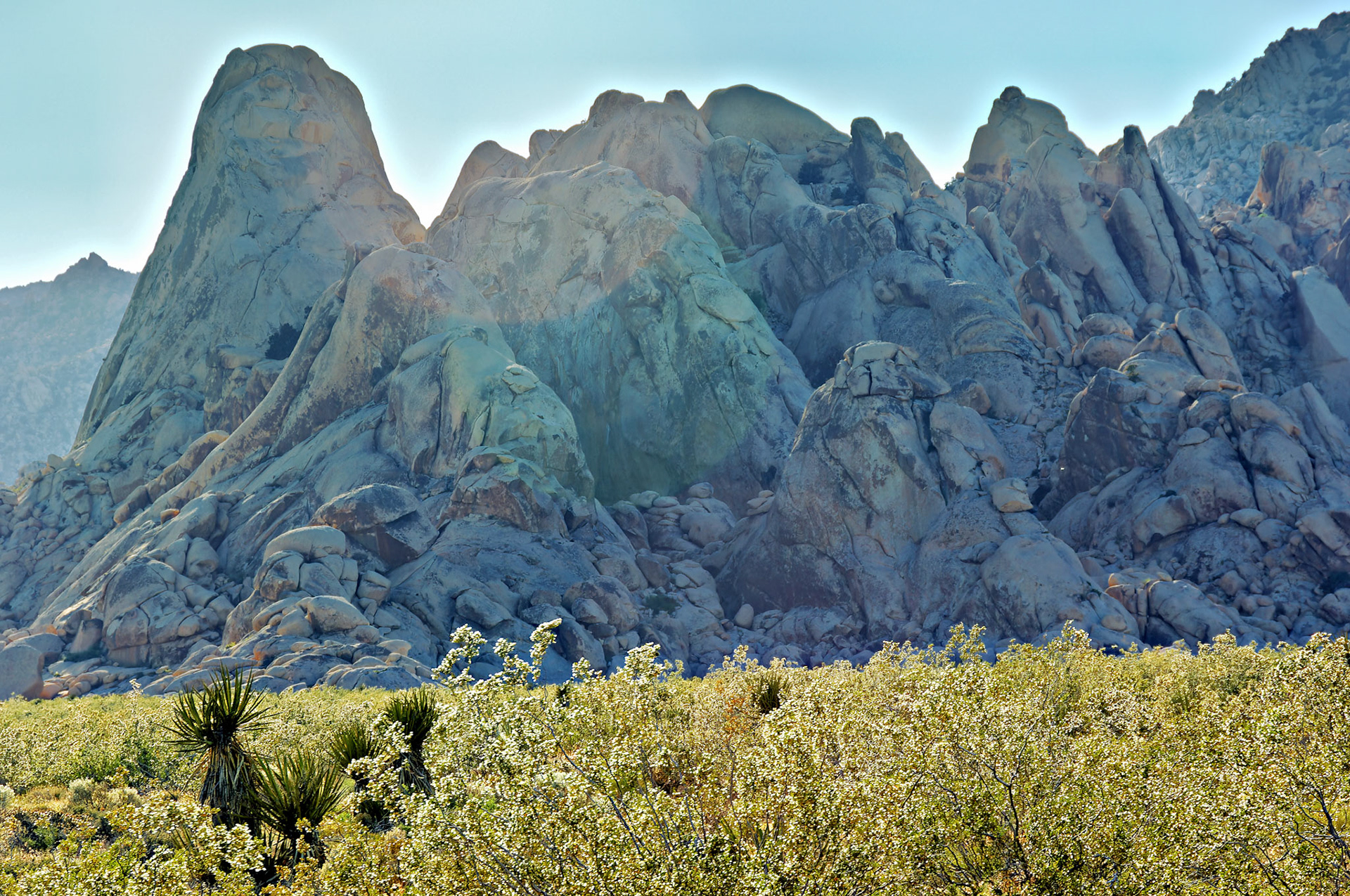 CA_20050614_0185_PS.dng