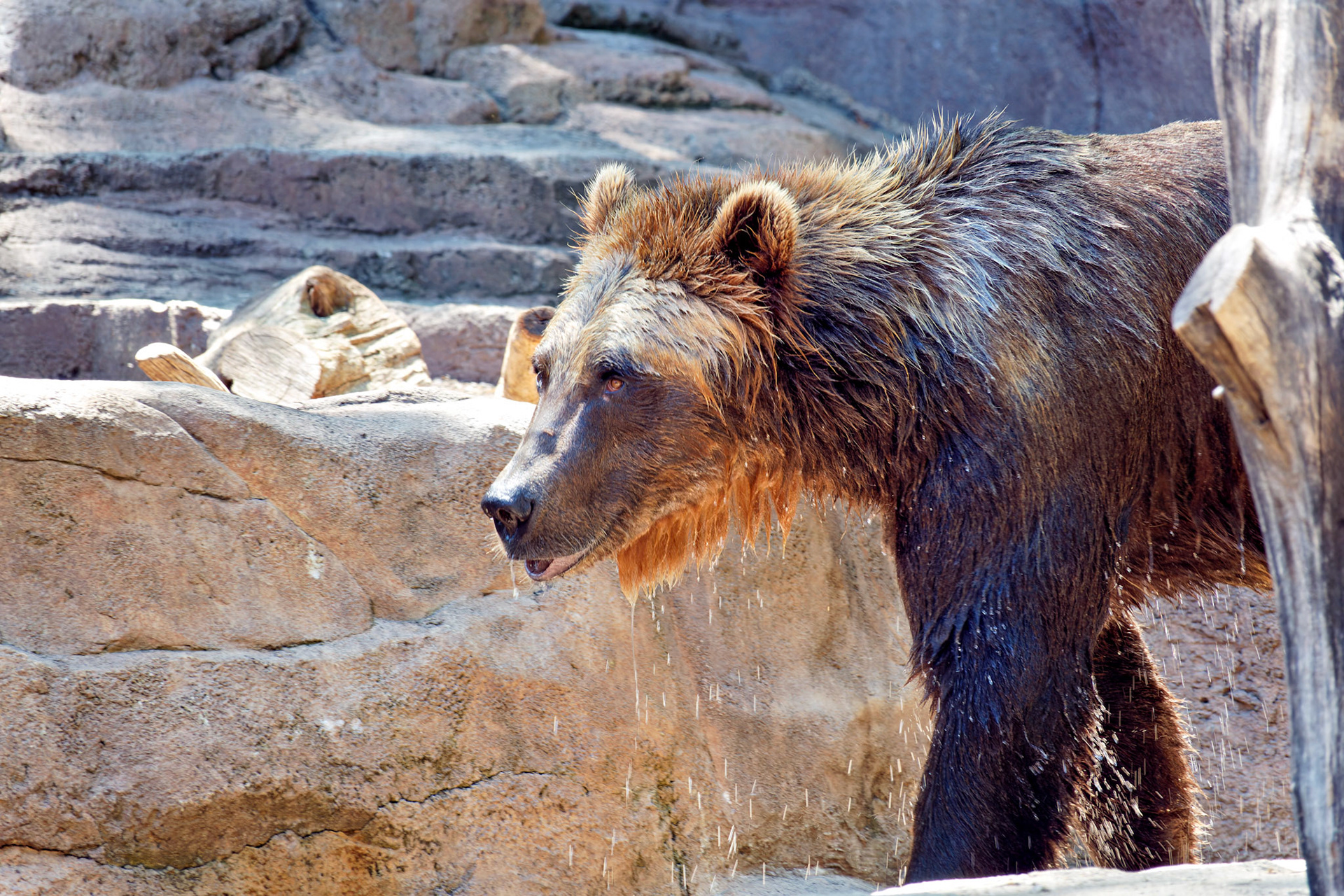 IN_Indianapolis Zoo_20170608_0227_PS.tif