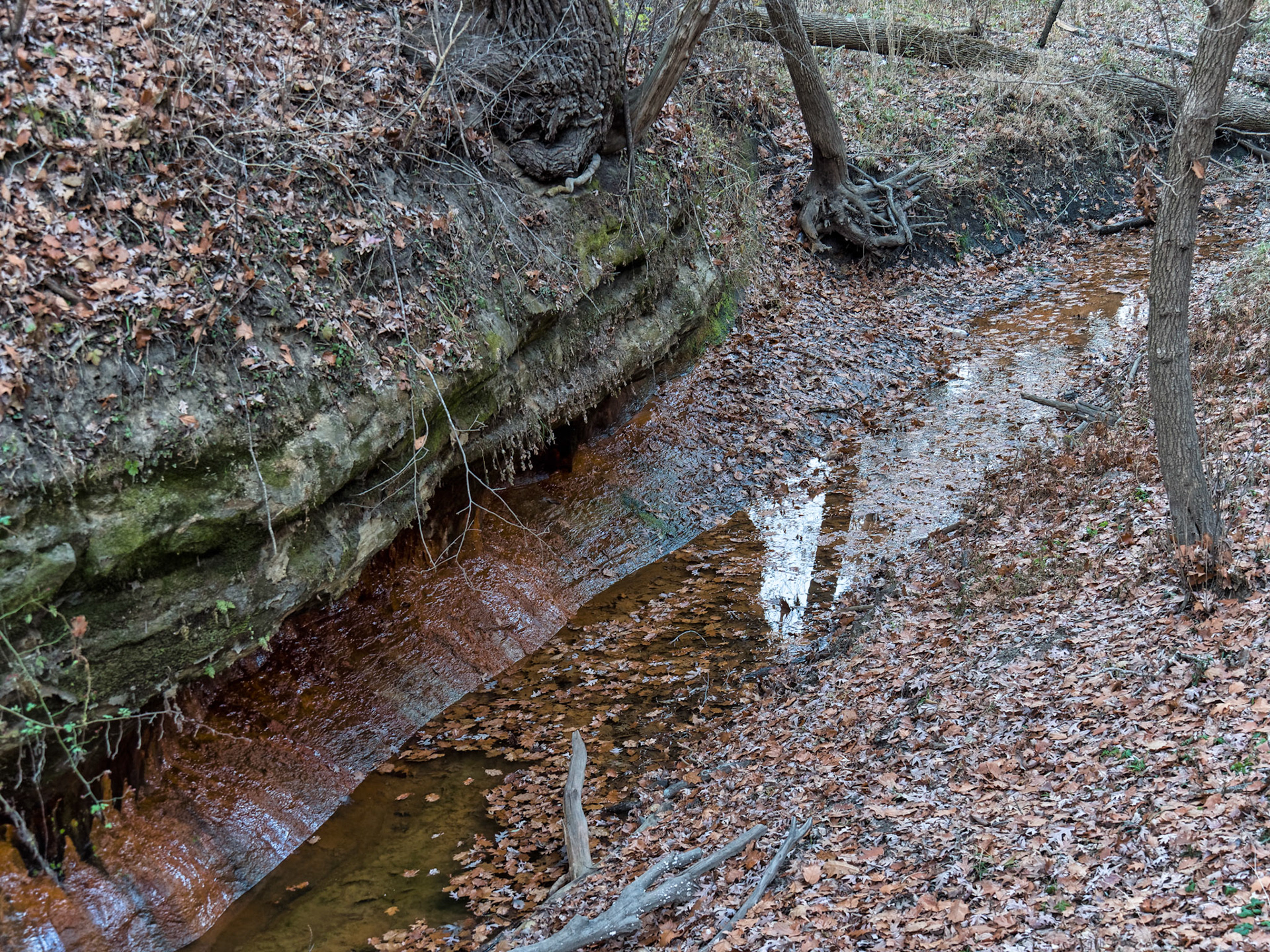 IL Starved Rock 00080
