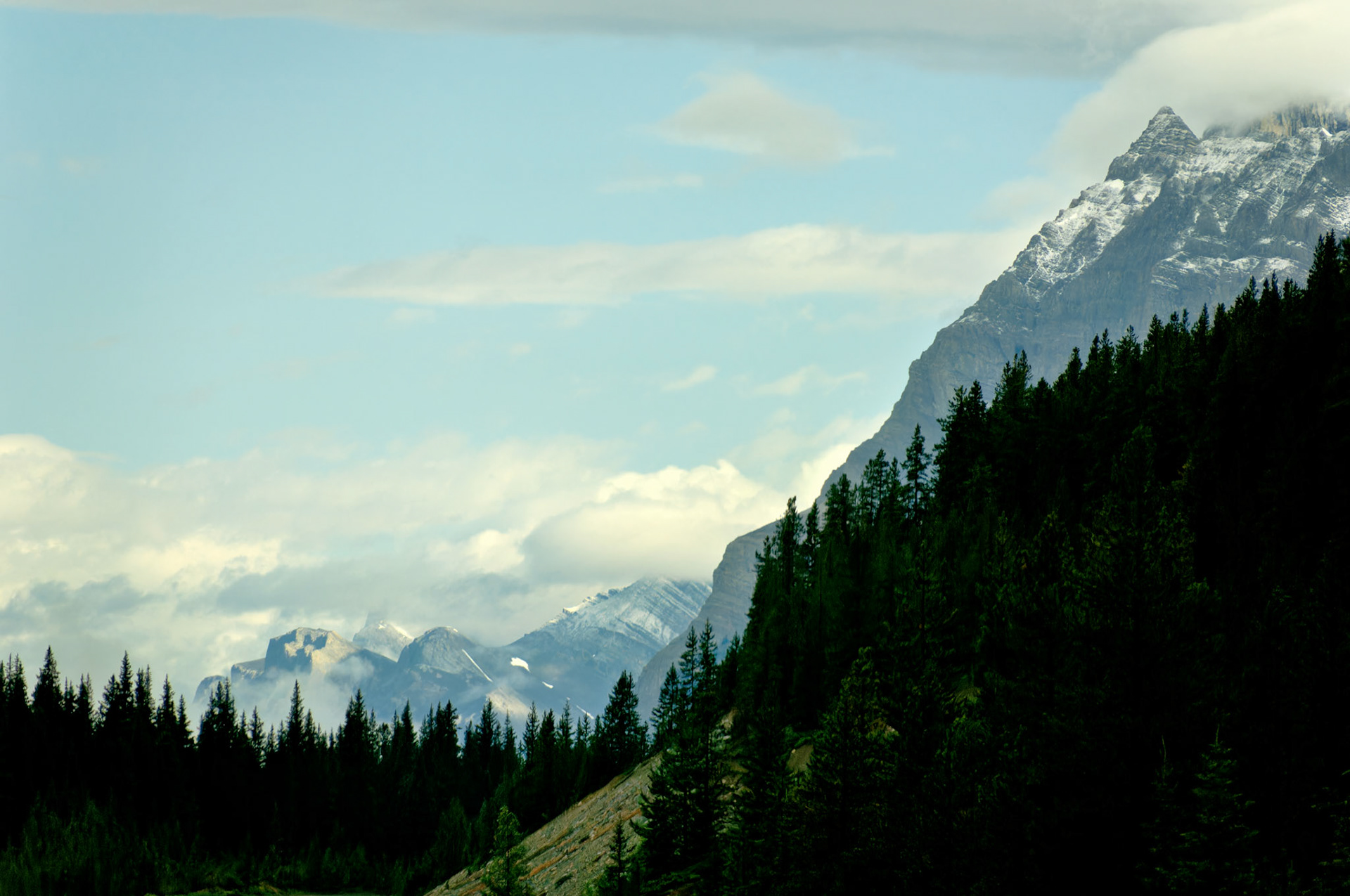 CN_20060802_0114_PS.dng