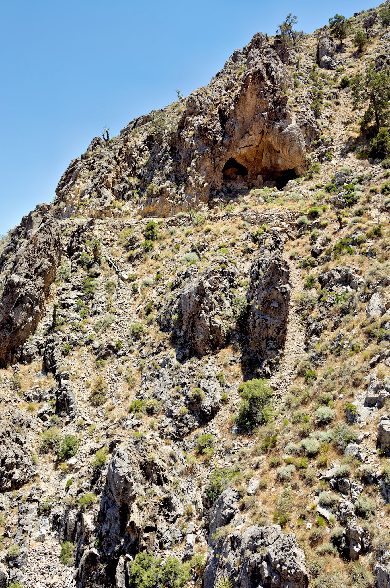 CA_20050614_0083_PS.dng