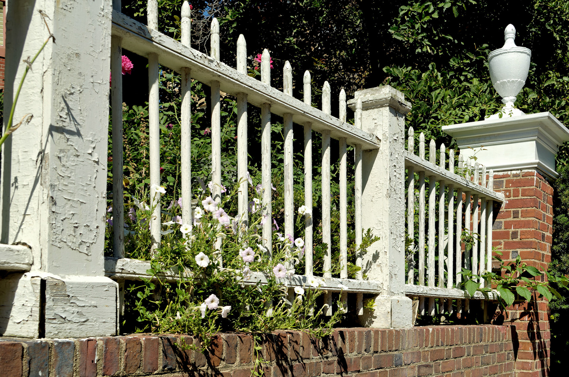 DC_20050912_0030_PS.dng