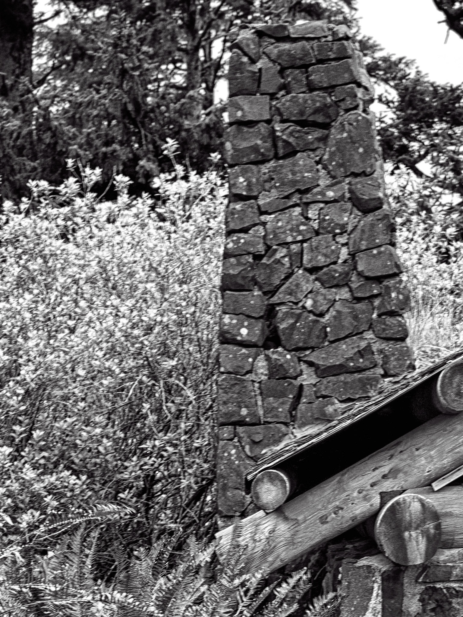 Black &amp; White 00159