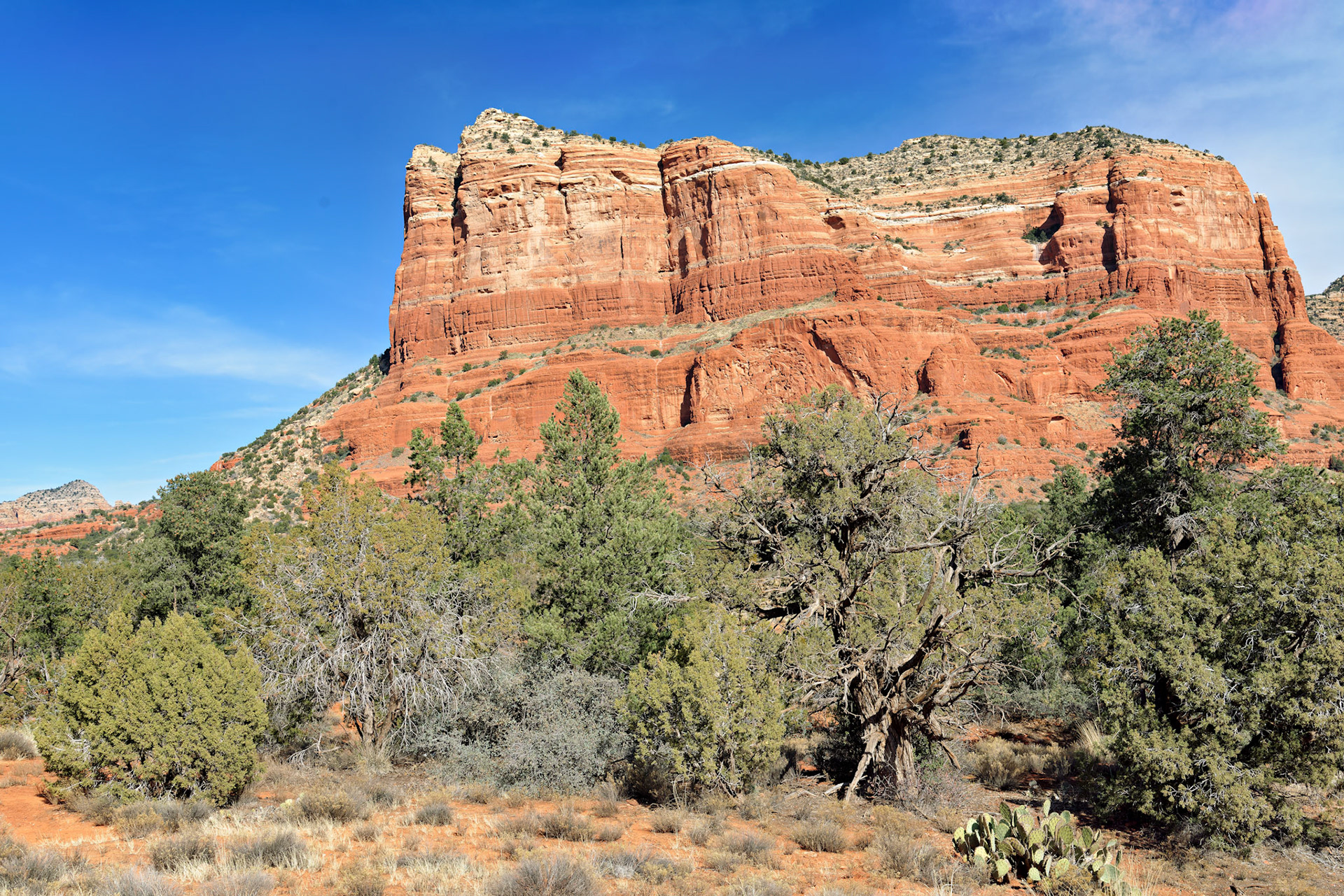 AZ_20121211_0593_PS.dng