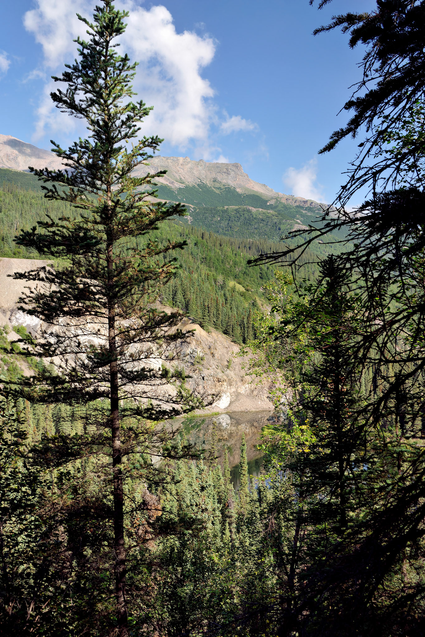 CA_20030808_0011_PS.dng