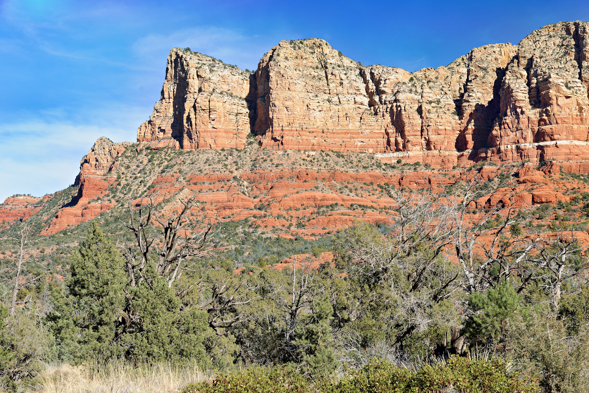 AZ_20121211_0470_PS.dng