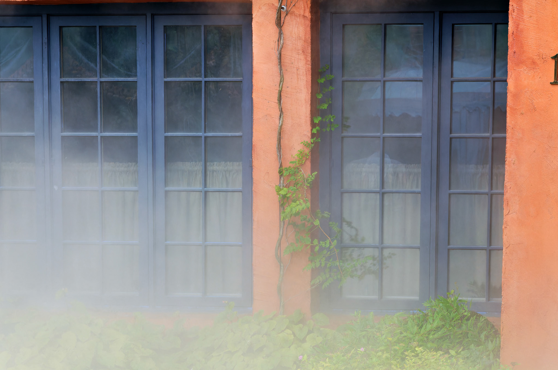 PA_GroundsForSculpture_20080814_0108_PS.dng