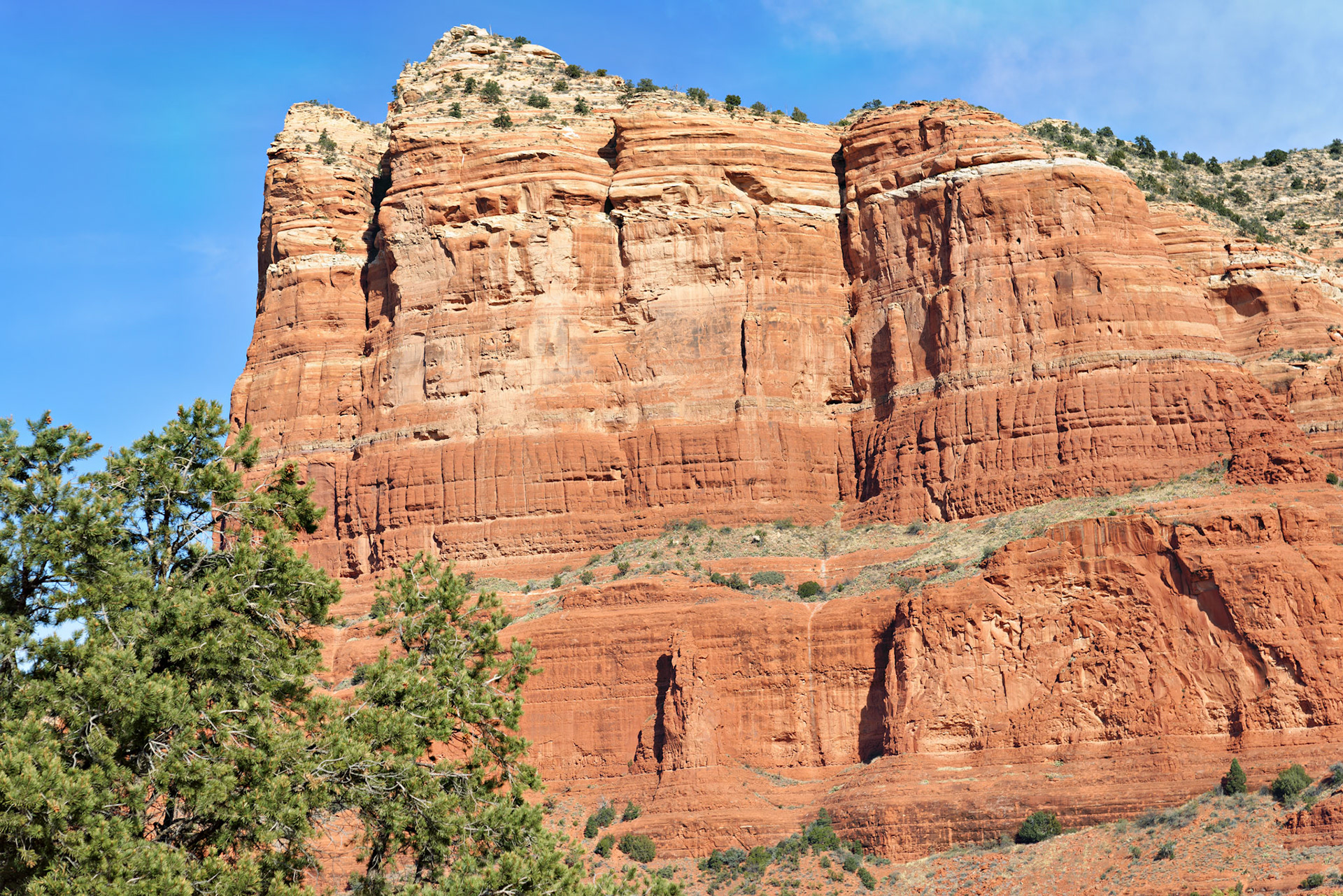 AZ_20121211_0588_PS.dng