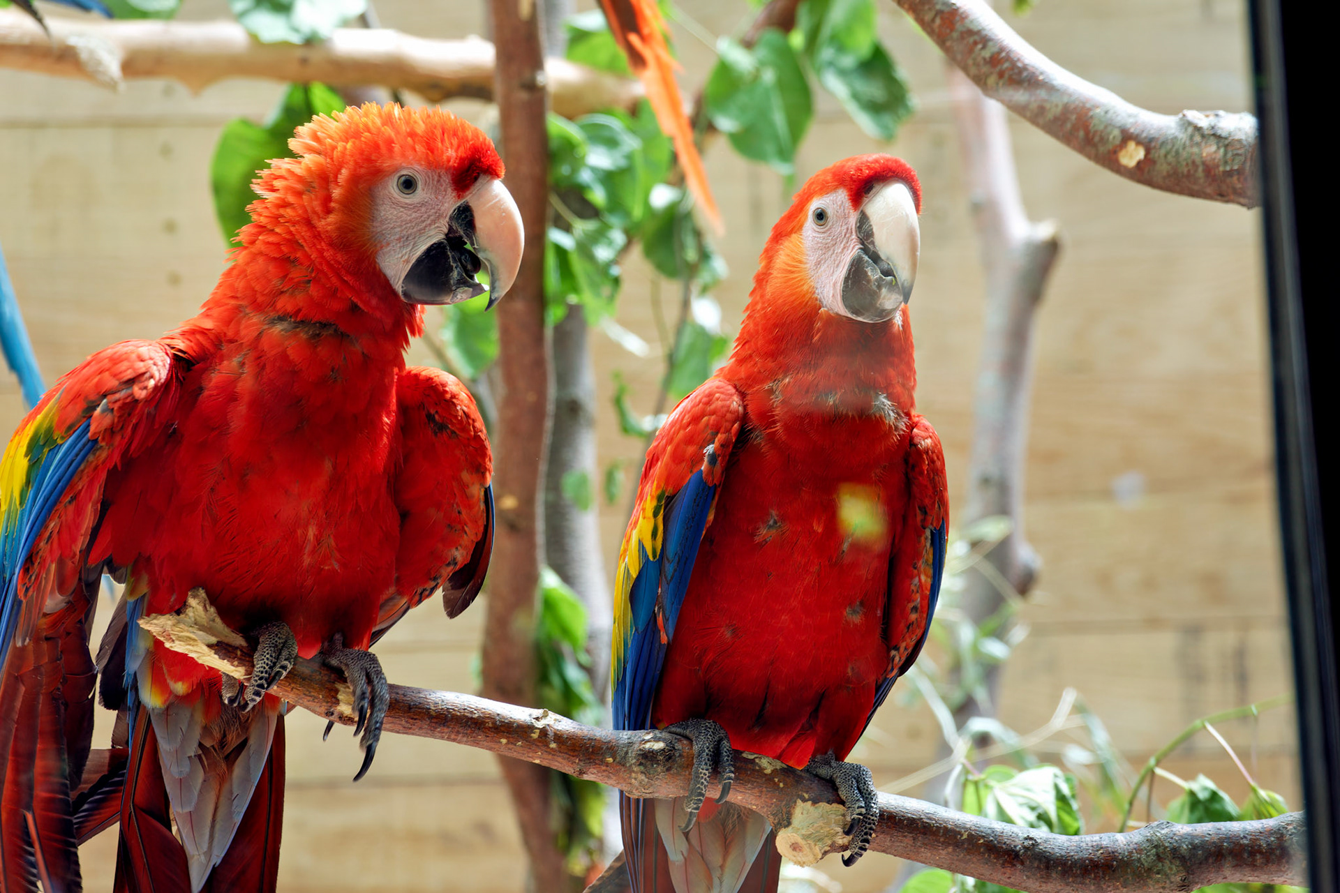 IN_Indianapolis Zoo_20170608_0225_PS.tif