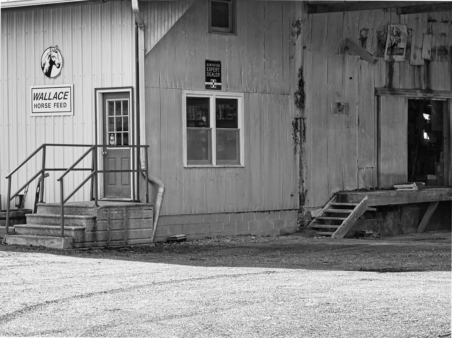 Black &amp; White 00251