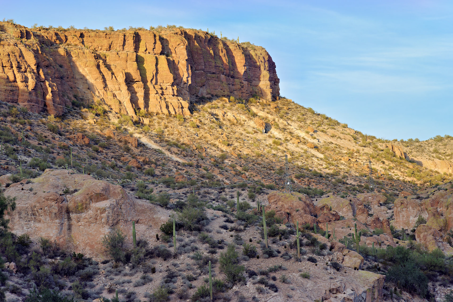 AZ_20121209_0220_PS.dng