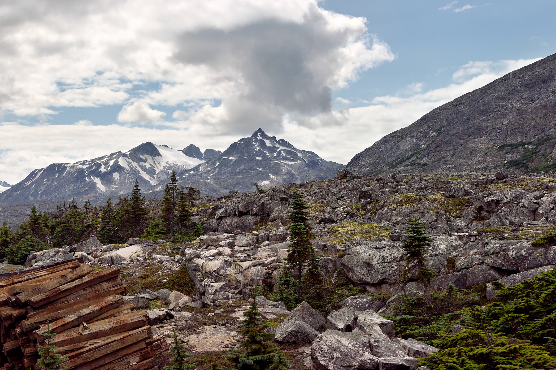 AK_20030801_0310_PS.dng