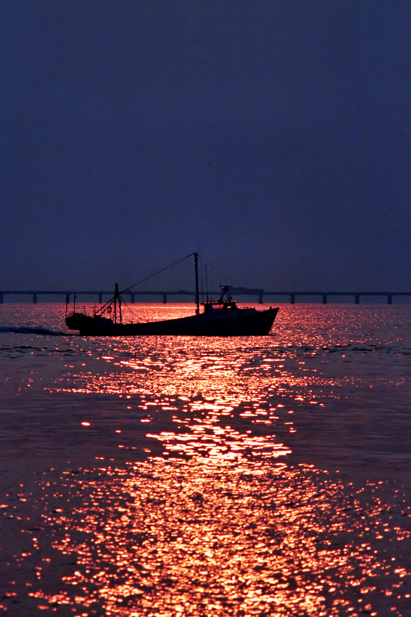 VA_20071031_0079_PS.dng