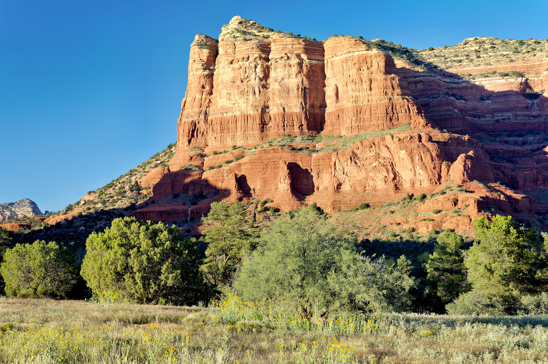 AZ_20060917_0143_PS.dng