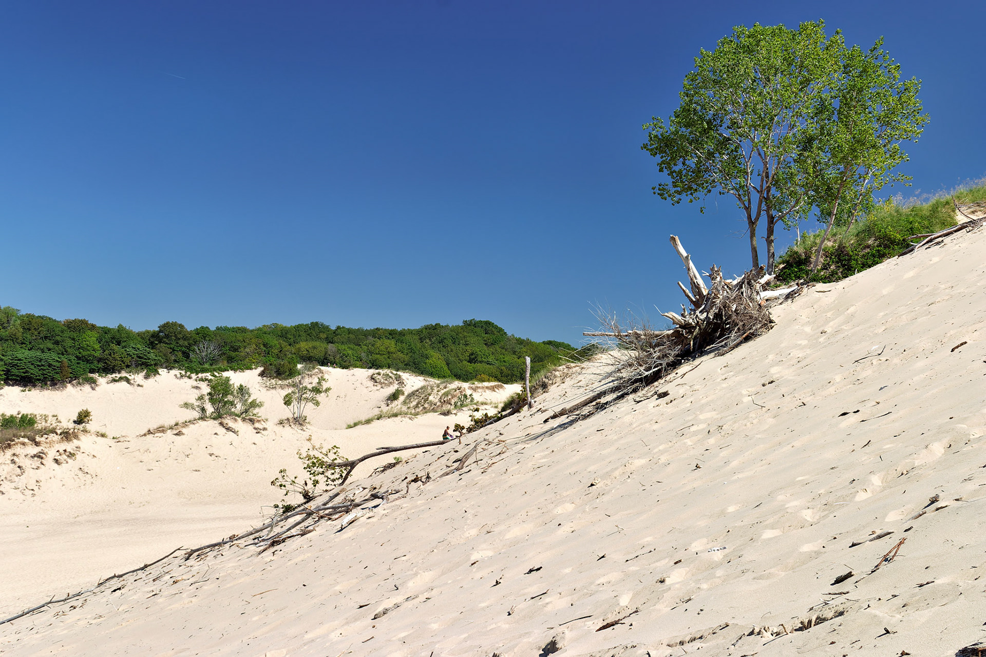 MI_New BuffaloArea_20030906_0076_PS.tif
