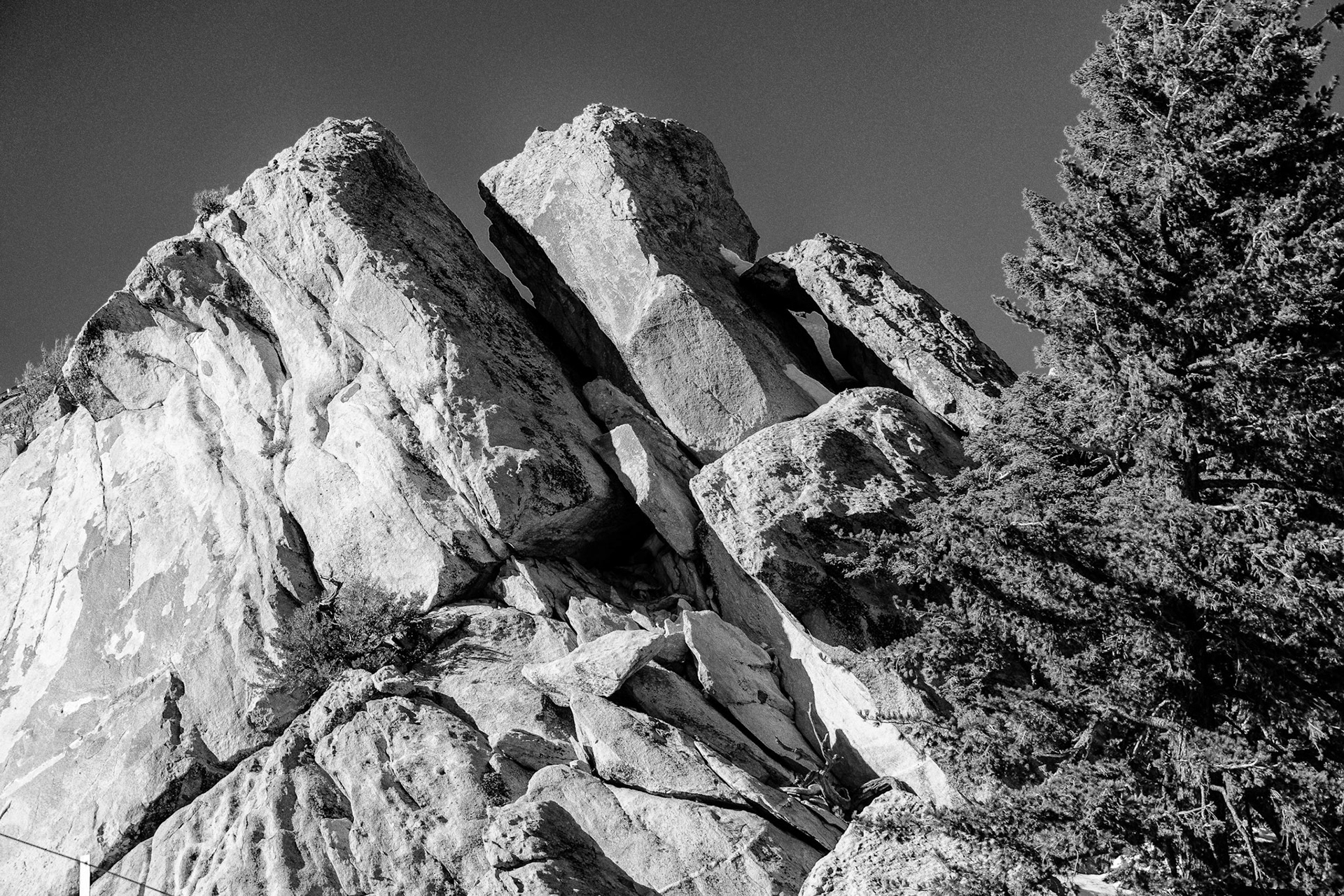 Black &amp; White 00093