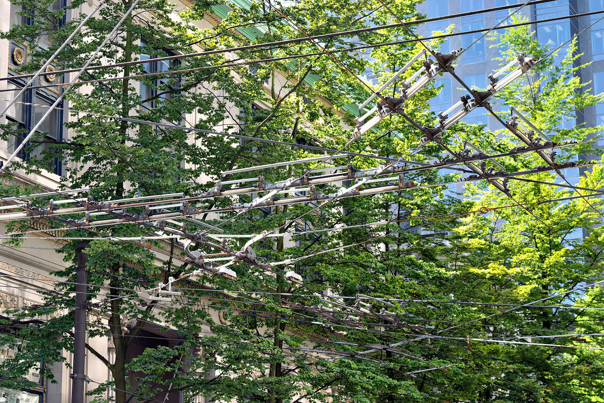 AK_20030728_0051_PS.dng