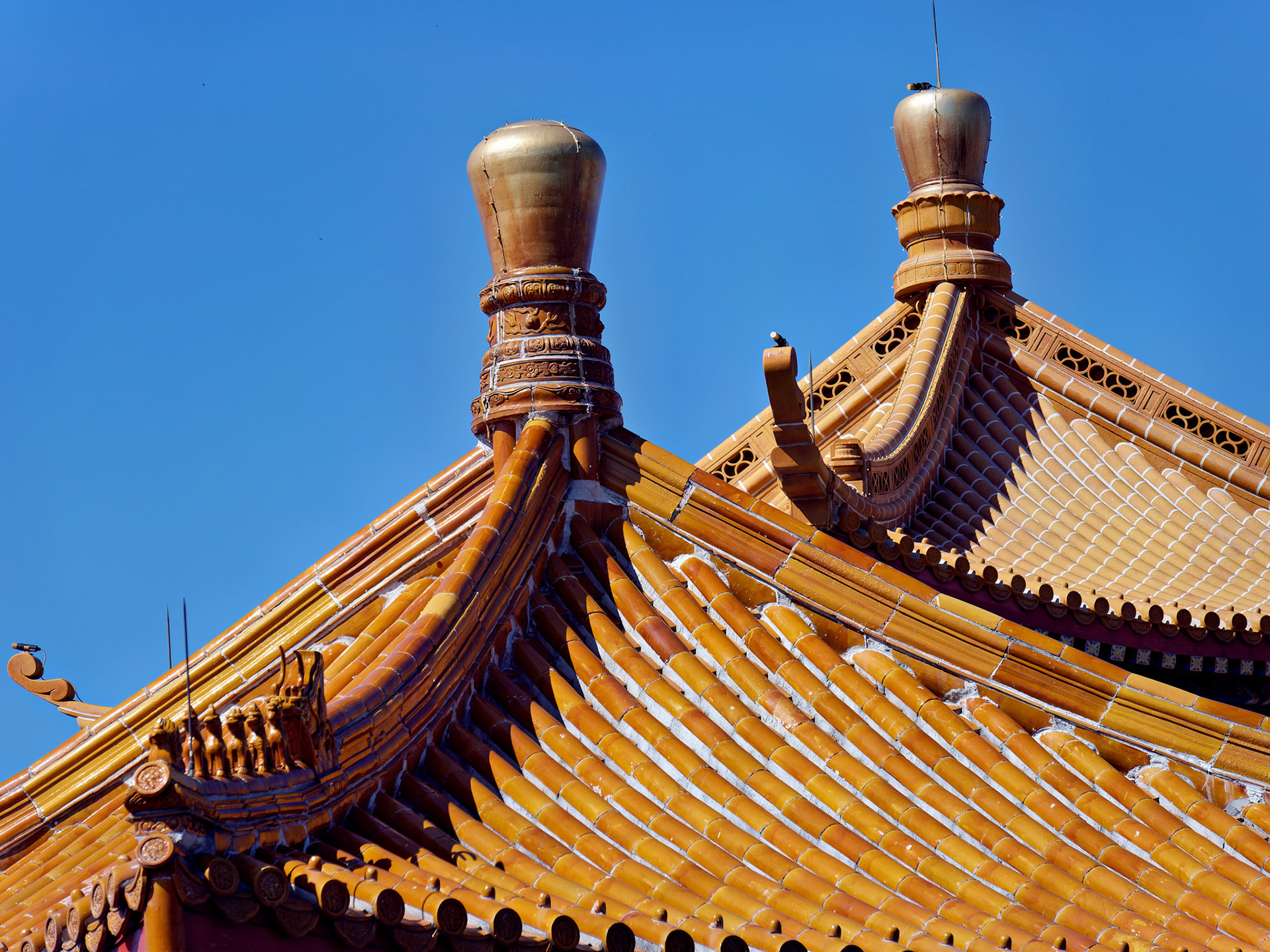 FL_Disney_20180424_0056_PS.dng