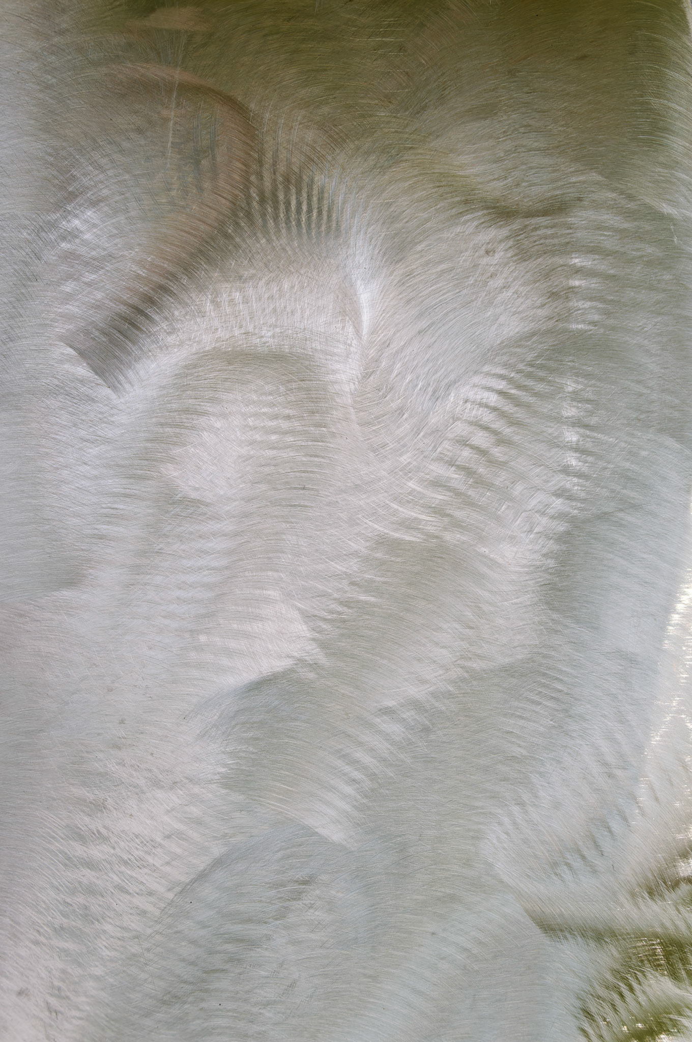 PA_GroundsForSculpture_20080814_0041_PS.dng