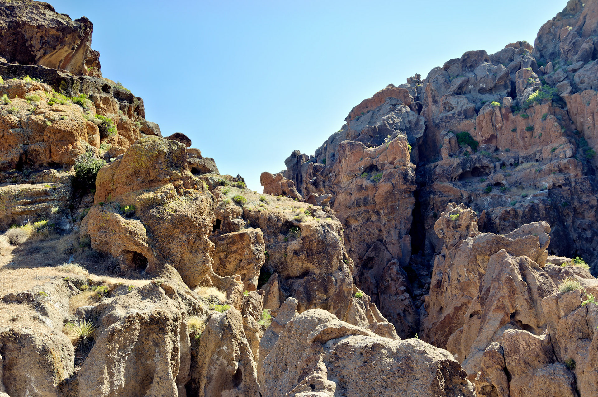 CA_20050614_0172_PS.dng