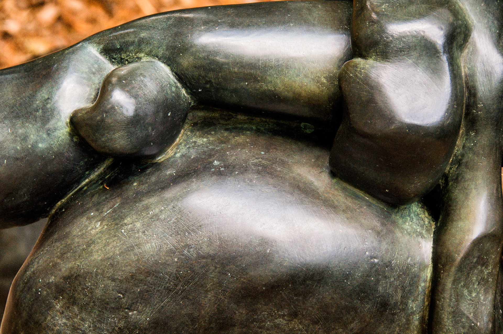 Artistic Photos 00101