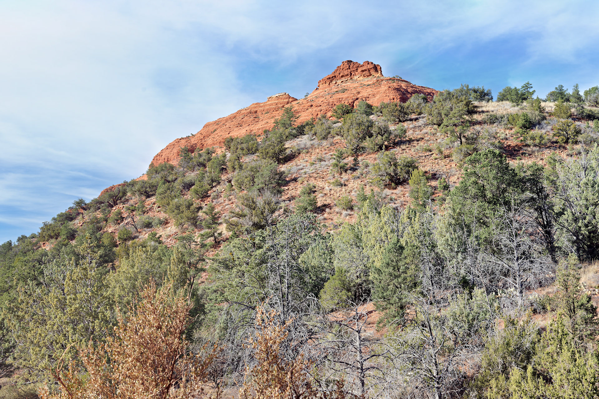 AZ_20121211_0496_PS.dng