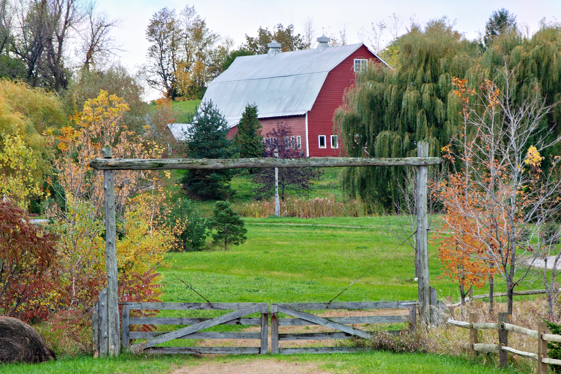 VT_20021027_0003_PS.dng