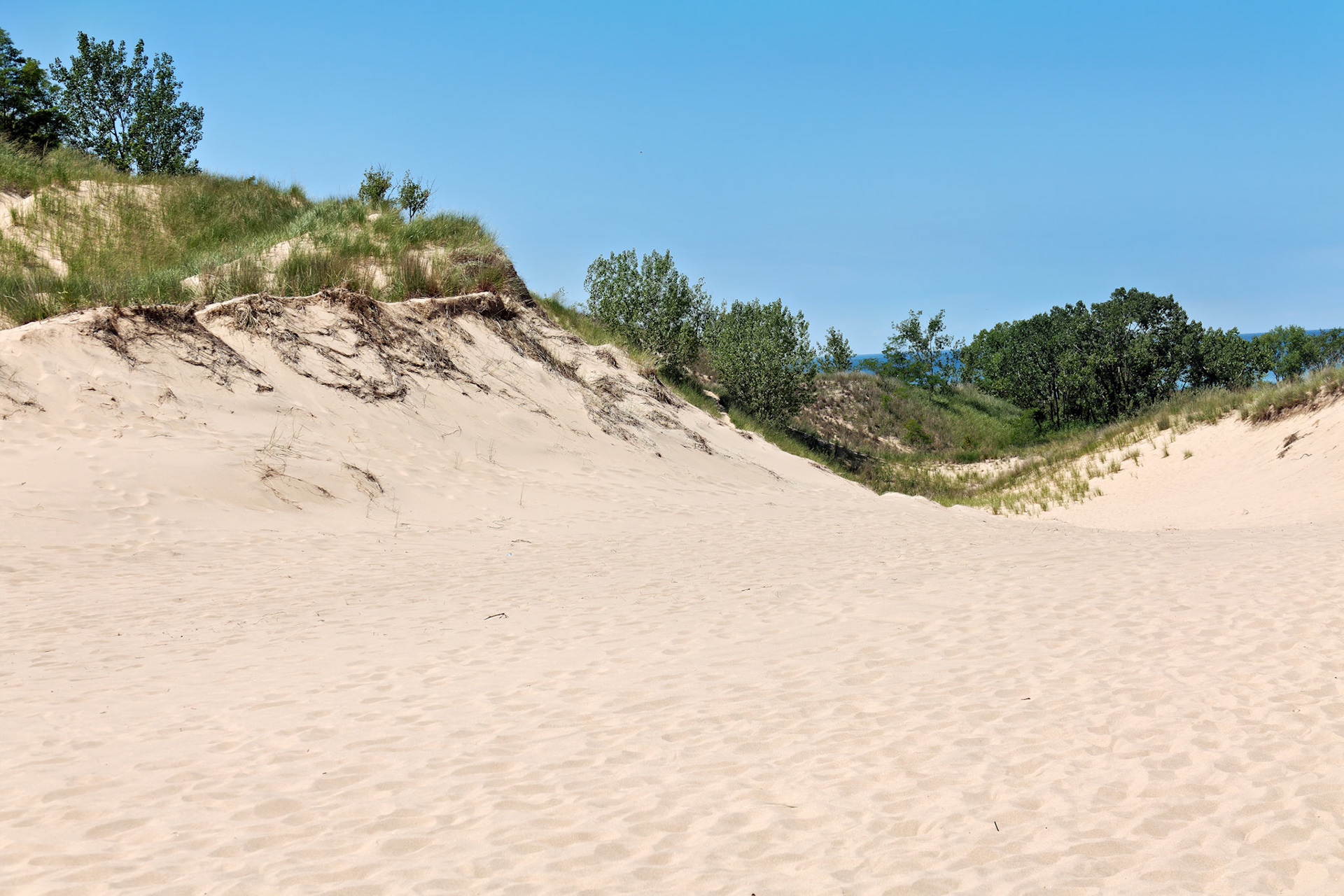 MI_New BuffaloArea_20160808_0143_PS.tif