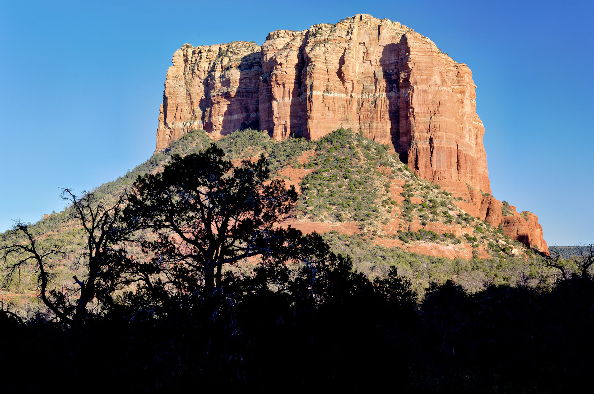 AZ_20060917_0134_PS.dng
