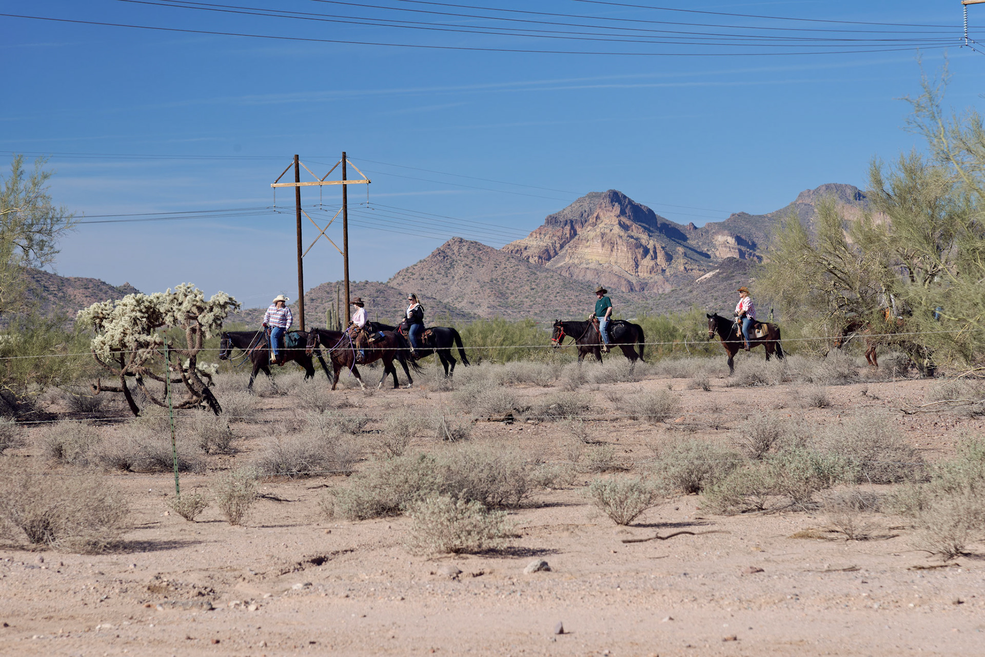 AZ_20121209_0303_PS.dng