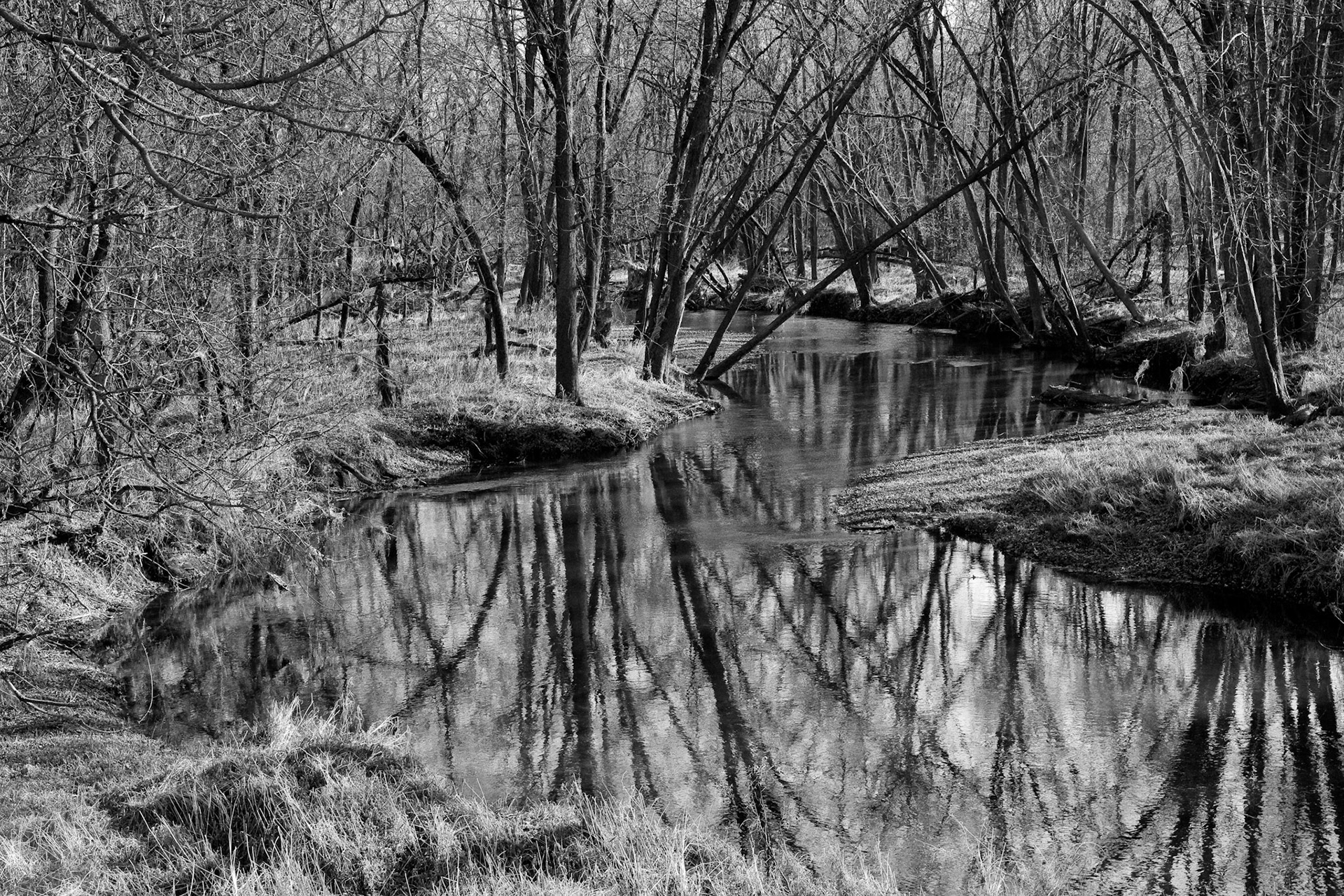 Black &amp; White Photos